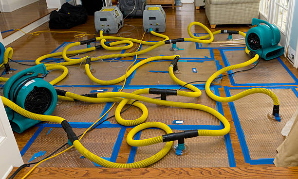 Professional Storm Water Damage Restoration technician working in Brule, WI
